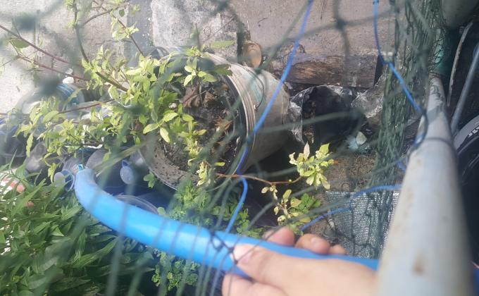 รดน้ำต้นไม้