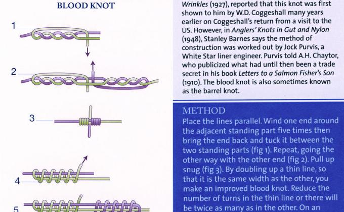 Scouts Love Knots! Blood Knot