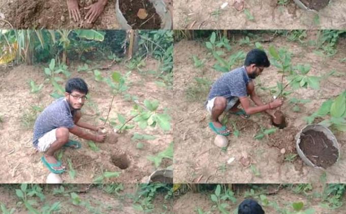 IDP2020 ACTIVITY 8.9-PLANT A TREE