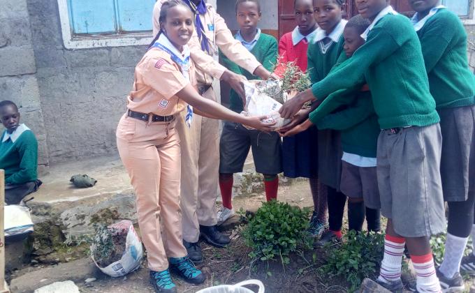 The Brown Olive Project.