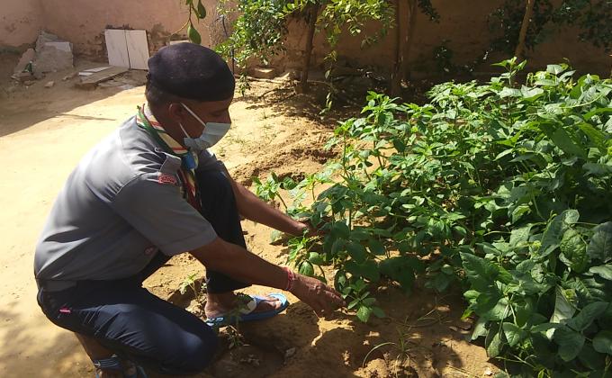 Sankalp project( B)challange kitchen garden 