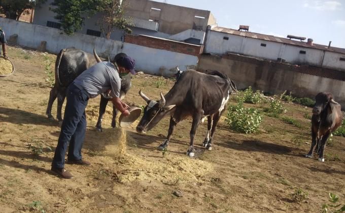संकल्प प्रोजेक्ट