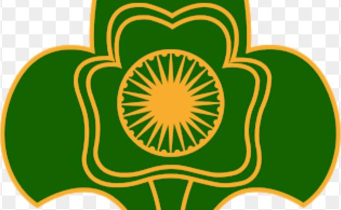 Tree plantation program