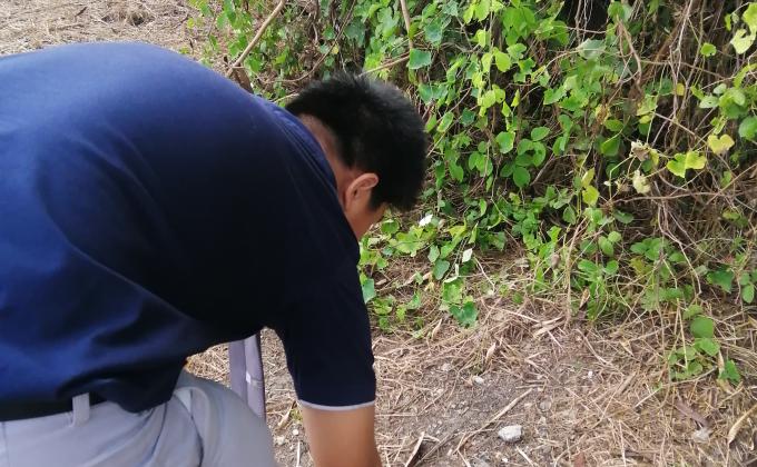 เก็บขยะ