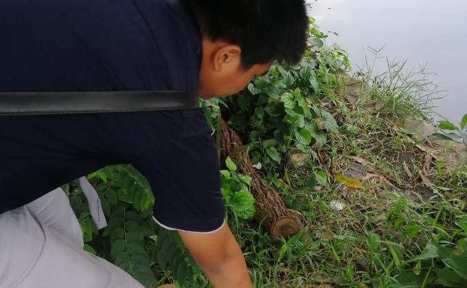 เก็บขยะ