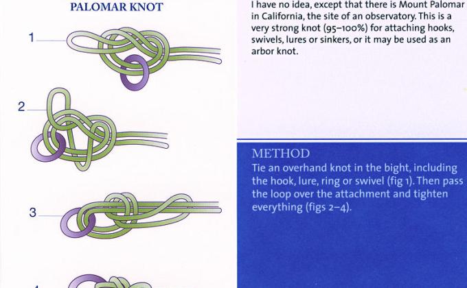 Scouts Love Knots! Palomar Knot