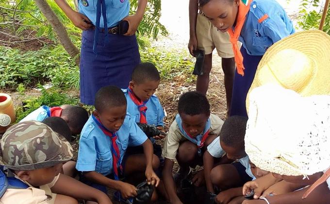 The Tily of the Menabe take part in the reforestation of Madagascar