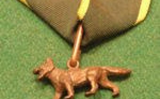 BUILDING A BETTER WORLD