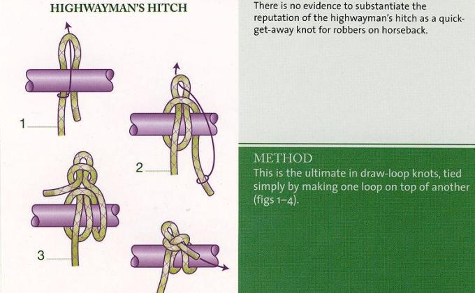 Scouts love knots!