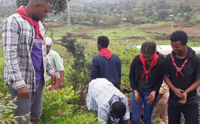 Ethiopian scout association, Amhara region scout council participating on planting trees for Blue-Nile River 