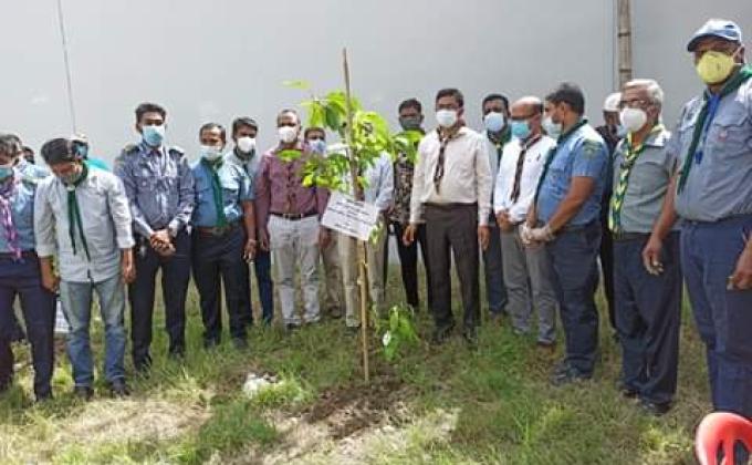 বৃক্ষরোপন কর্মসূচি 