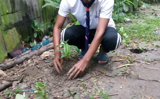 বৃক্ষ রোপন 