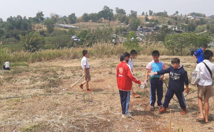 Take care of the planted trees