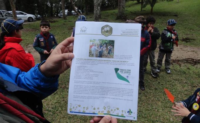 Plantio de Árvores Nativas do Paraná - Brazil