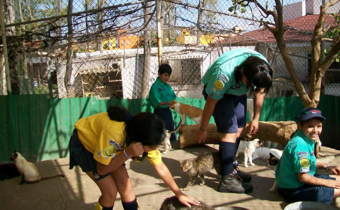 Proyecto Rescate Animal por la Paz / Animal Proyect Rescue for Peace