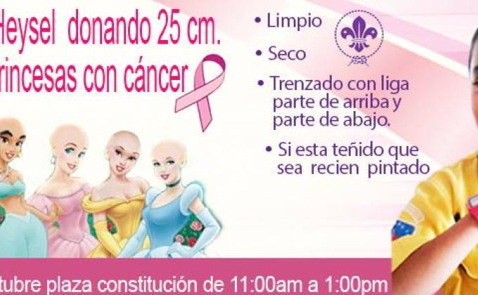 Hagamos de nuestro cabello, cabello de princesa