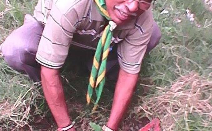 Tree Plantation