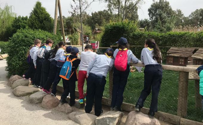 CAP : activity 07 / 10 : " VISIT WILDLIFE PARK"