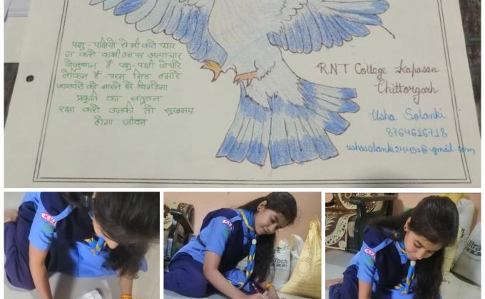 #9 मई: विश्व प्रवासी पक्षी दिवस