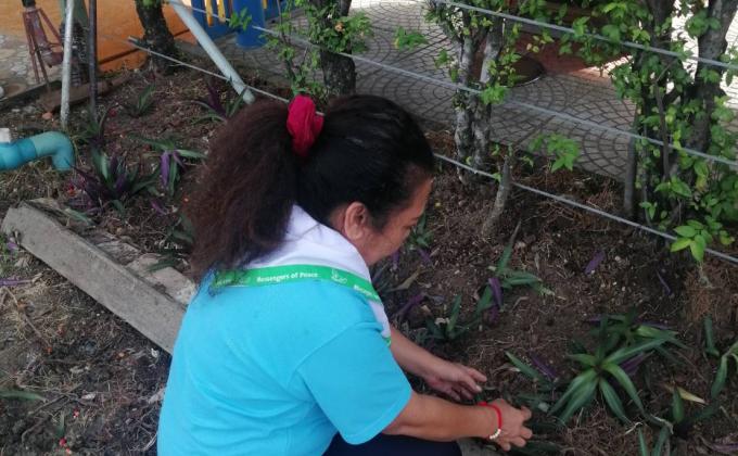 บำเพ็ญประโยชน์ปลูกต้นไม้