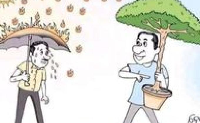 environment programme