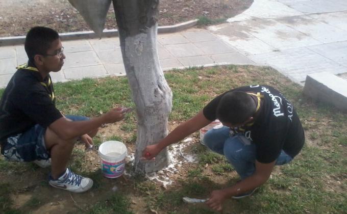 !Cuidando nuestros pulmones!