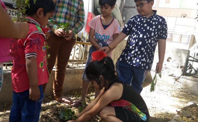 Plantation  on occasion of forest day