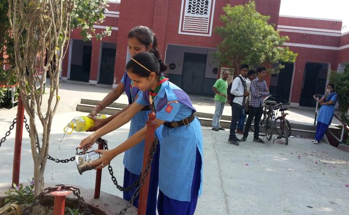 Save plant 
