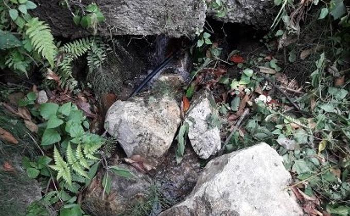 cleaning water source