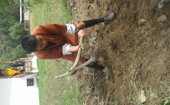 Volunteer