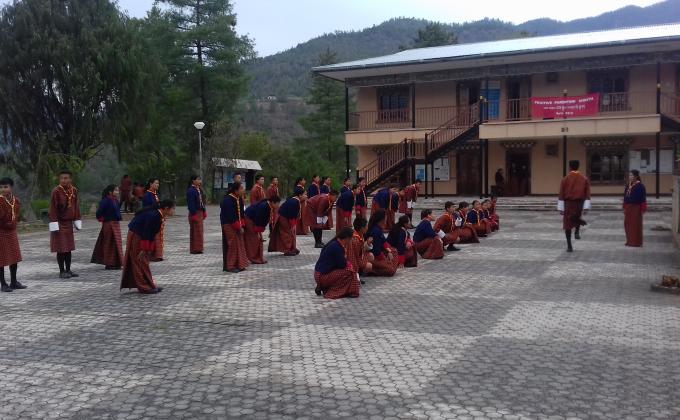 A fruitful day with Scouts