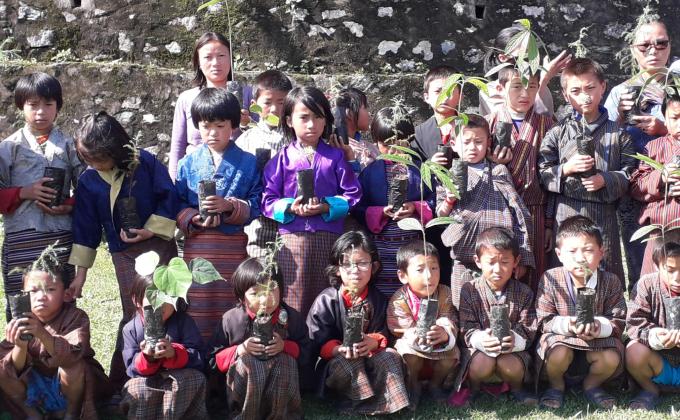 Plantation to beat air pollution