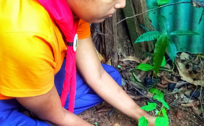 Plantation Work