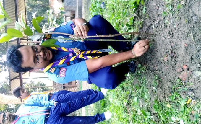 Tree Plantation