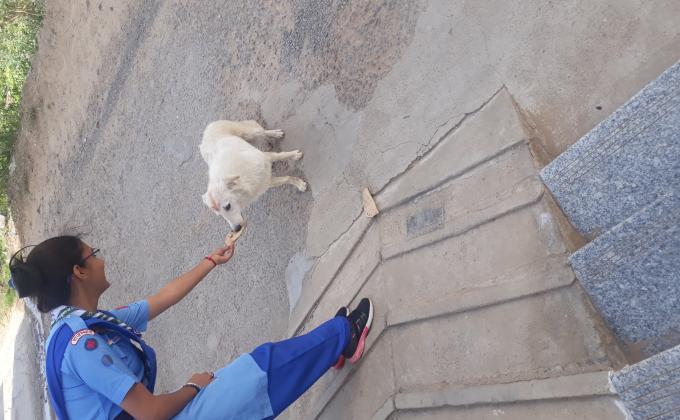 FOOD  FOR  HUNGRY  ANIMALS