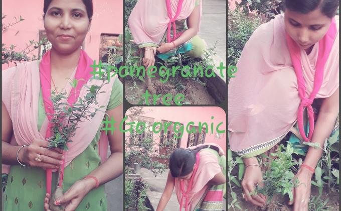 SANKALP B.Environment &Sustainability.#Goorganic