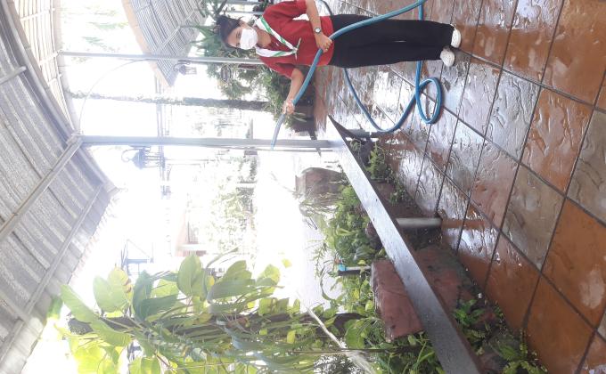 บำเพ็ญประโยชน์รดน้ำต้นไม้