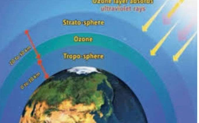  "कचरा हटाओ, पेड़ लगाओ,ओजोन परत को बचाओं