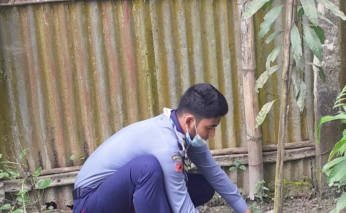 বৃক্ষরোপন 