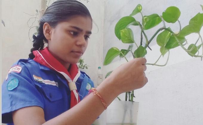 Plastic Chunauti