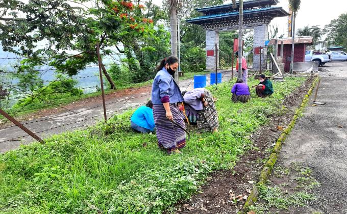 Social forestry day 