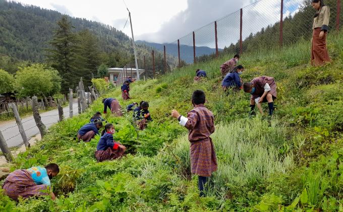 Community Forest 