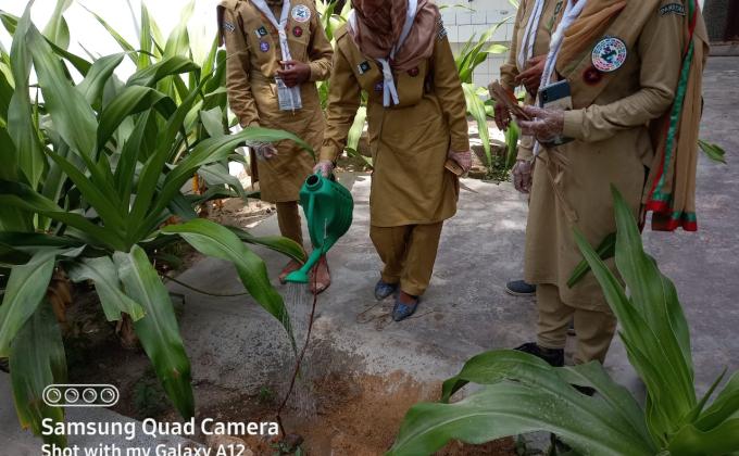 Clean & Green Pakistan