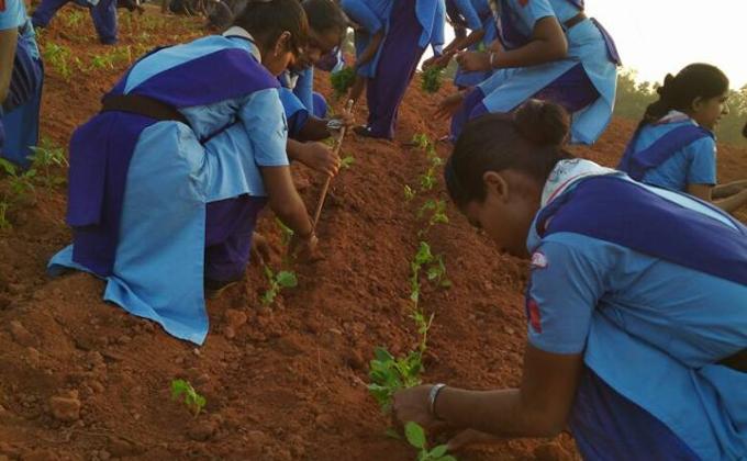 ROVER & RANGER District Level SERVICE CAMP 