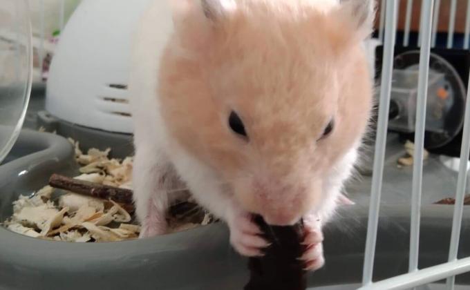 ทำความดี