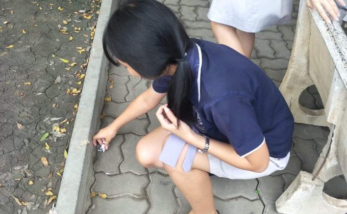 เก็บขยะ