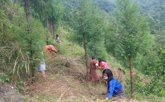 World Environment Day