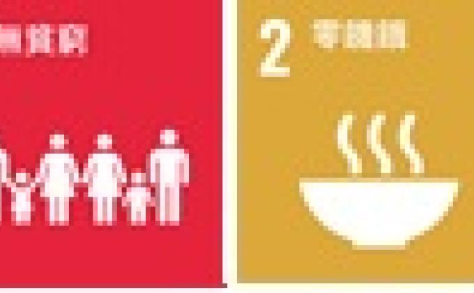 第24屆港島童軍毅行