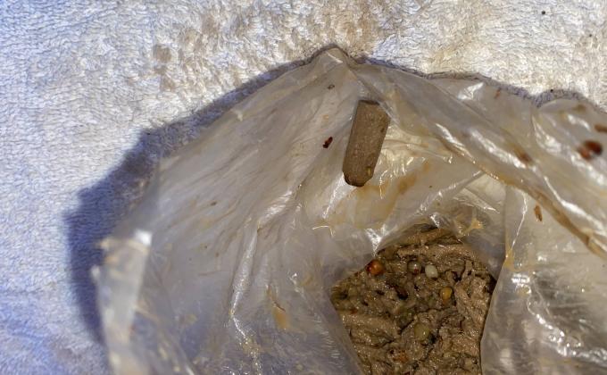 adios colillas puerto vallarta 