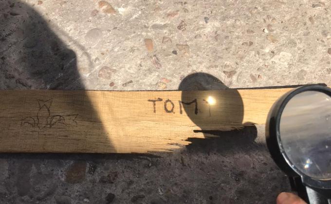 Go Solar - Alma Luna Reyes